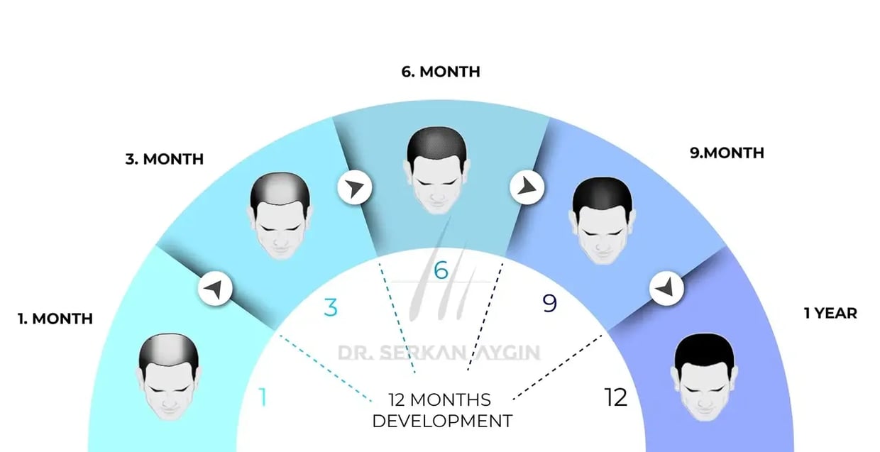 19db3cfc-b4df-4cfb-98f6-a8b7c0368377