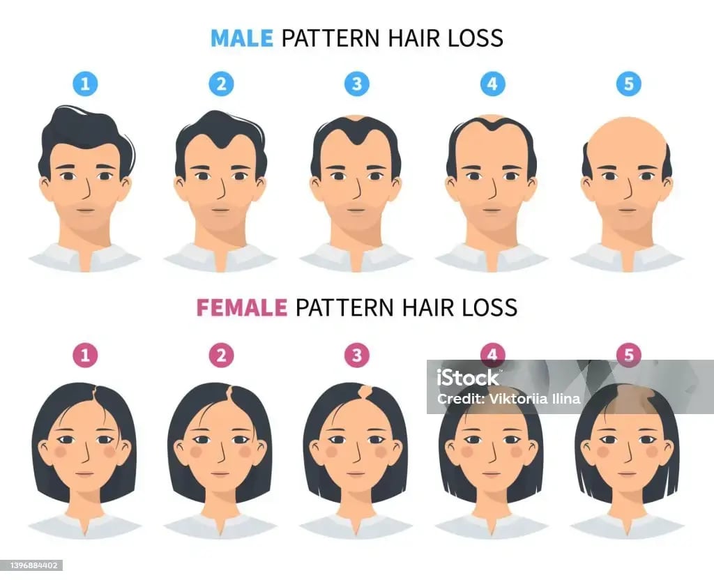 34f7aab7-3690-4ef7-9ce3-29b826539d2a-1