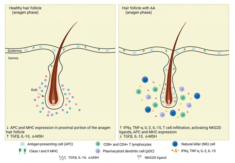 49c9bd7a-ffee-4412-b926-48f5bcec0f27