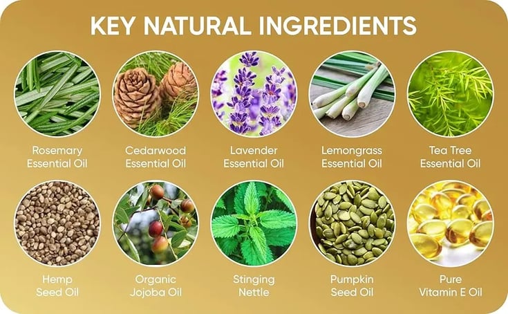 6bfc38c4-c3dd-4088-8623-aa8b0d83a174