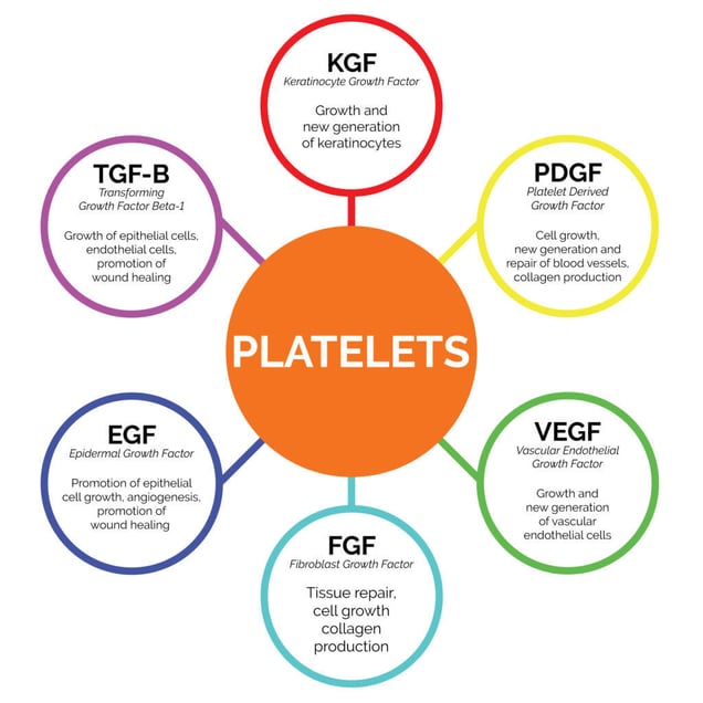 PRP-platelet-growth-factors-chart-1024x1024